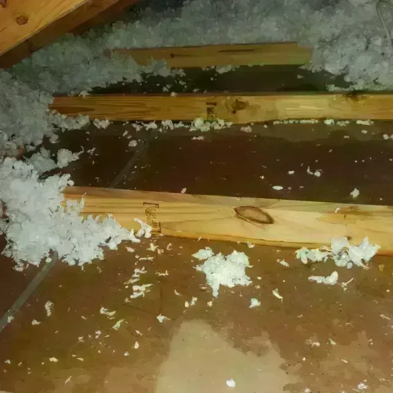 Attic Water Damage in Buena Vista, GA